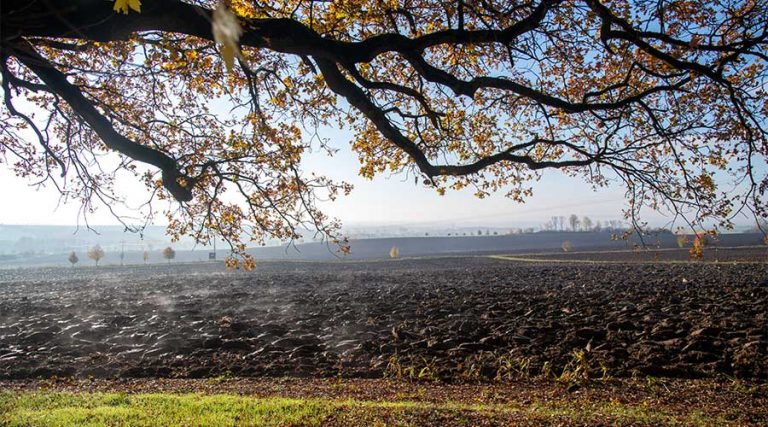 Finnewanderweg Rastenberg, Ulrichs Ruh - Blick über eine Sitzbank auf die Finnelandschaft