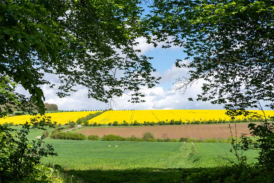 GeoPfad Rastenberg - Wandern und Natur erleben, Flora und Fauna entdecken Blick über die Heide - Auf dem GeoPfad Rastenberg Wandern, die Natur erleben, Flora und Fauna entdecken