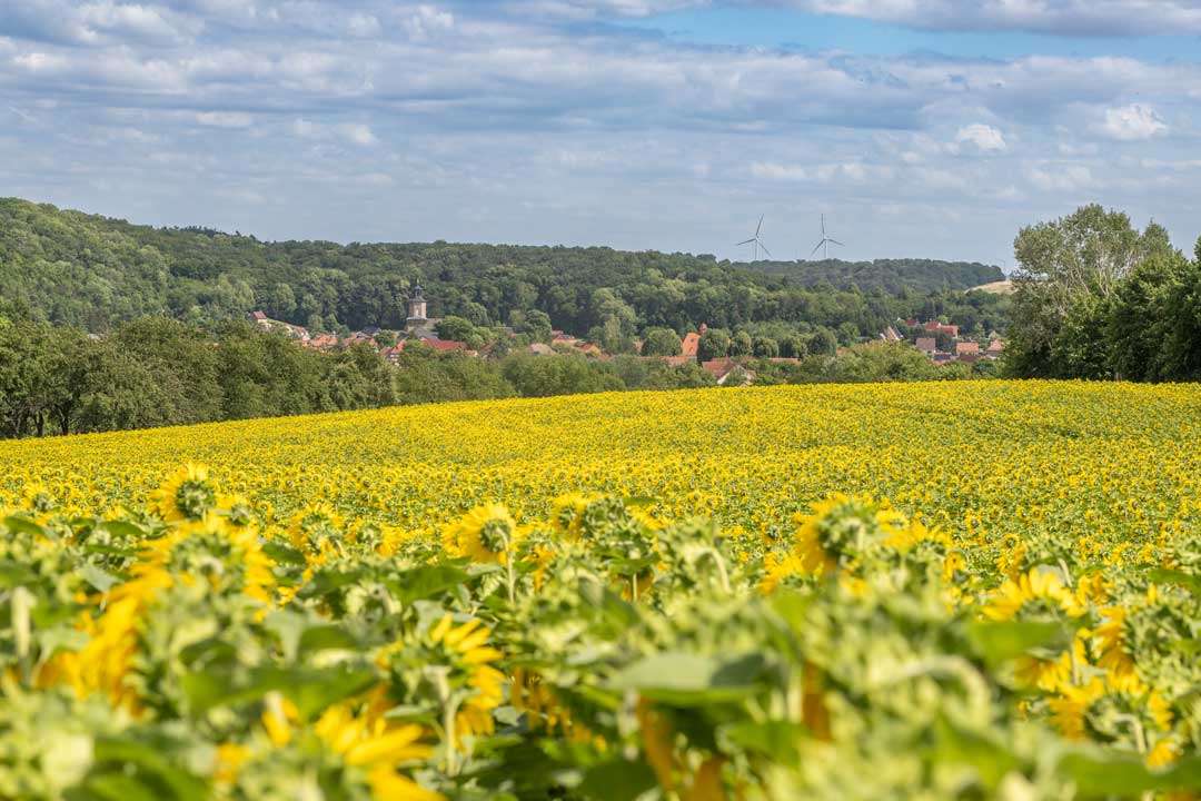 Sommer, Rastenberg, Coudray-Kirche, Stadt