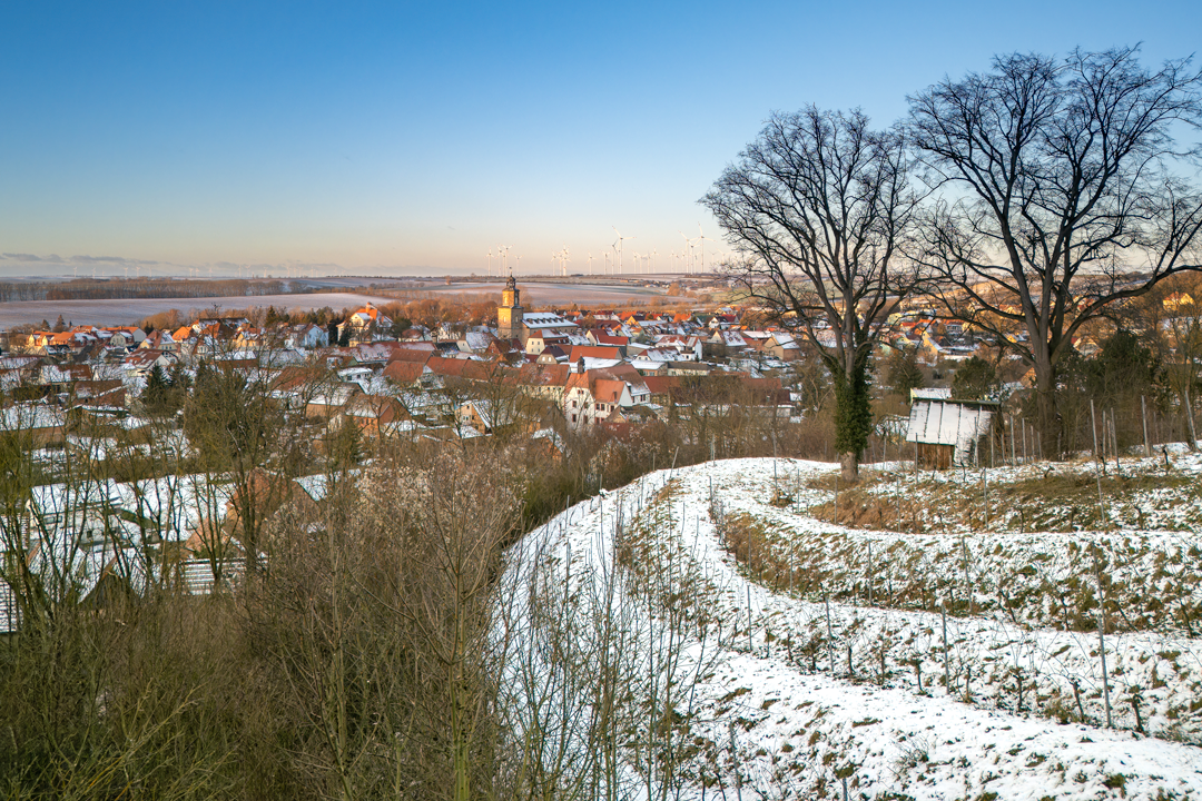 Rastenberg, Weinberg, Kolumne,