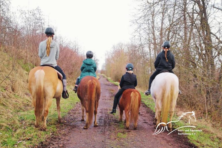 Reit- und Fahrverein Rastenberg, Reiten, Pferde, Hobby, Horsing