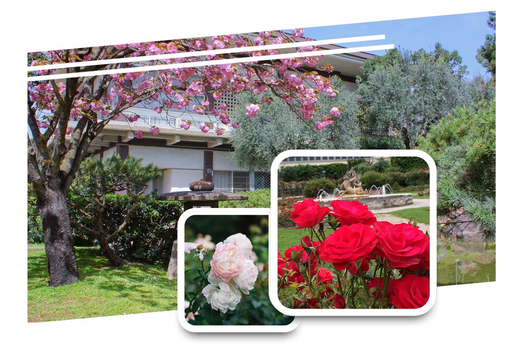 Busfahrt, Japanischer Garten, Rosengarten, Bad Langensalza, Rastenberg