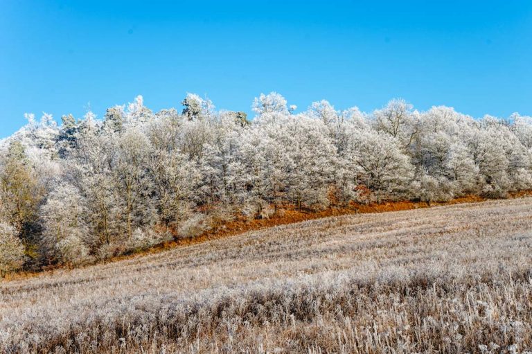 Dezember, Rastenberg natürlich erleben - die Natur im Winter