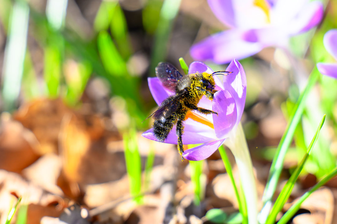 Rastenberg, der GeoPfad - Wandern duch die Natur