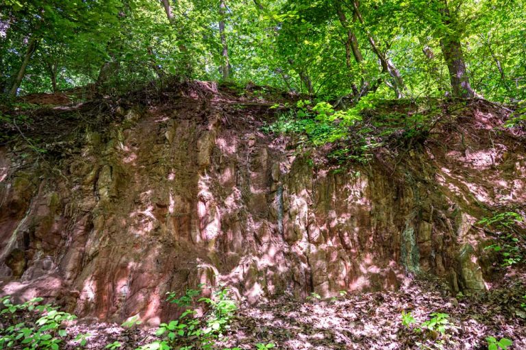 GeoPfad Rastenberg, in der Röhrenfahrt erlebt man einen seltenen geologischen Buntsandsteinaufschluss