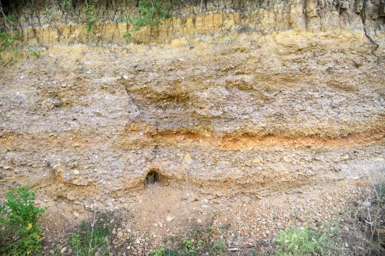 Kiesablagerung der Ur-Ilm in Rastenberg auf dem Kapellenberg