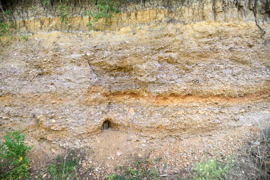 Kiesablagerung der Ur-Ilm in Rastenberg auf dem Kapellenberg